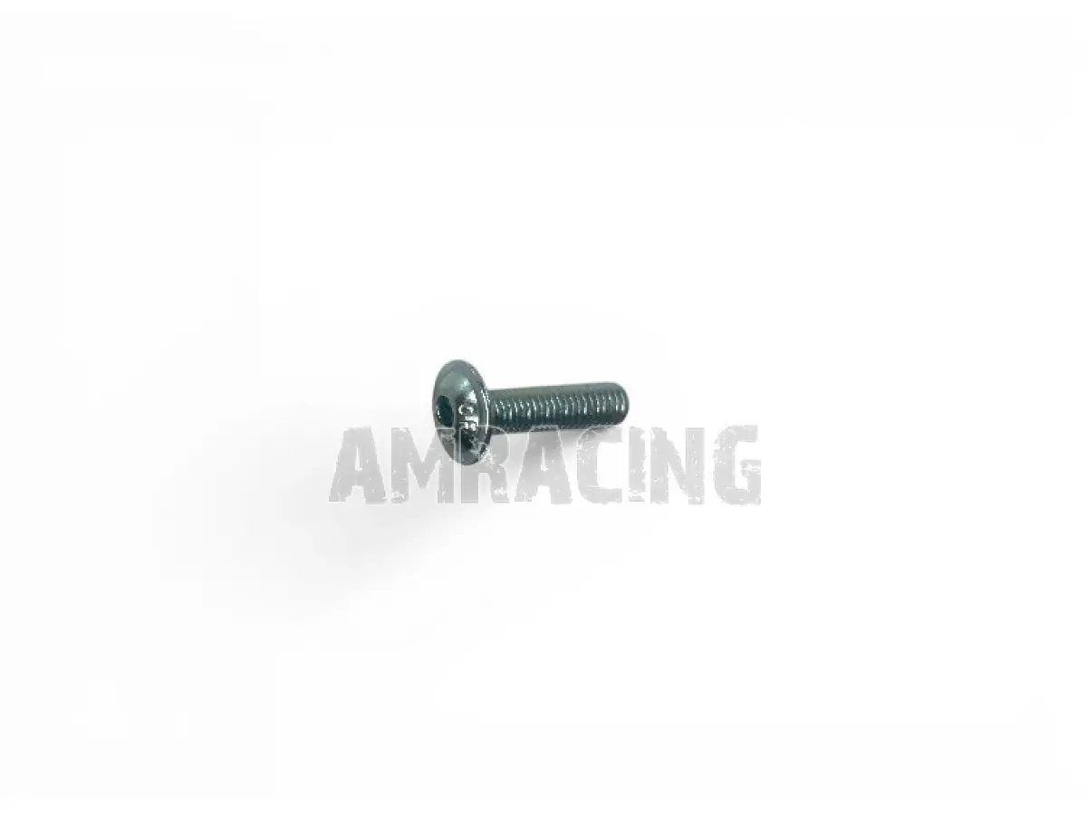 TBEI 5 x 20 TORX SCREW (ISO 7380-8.8)
